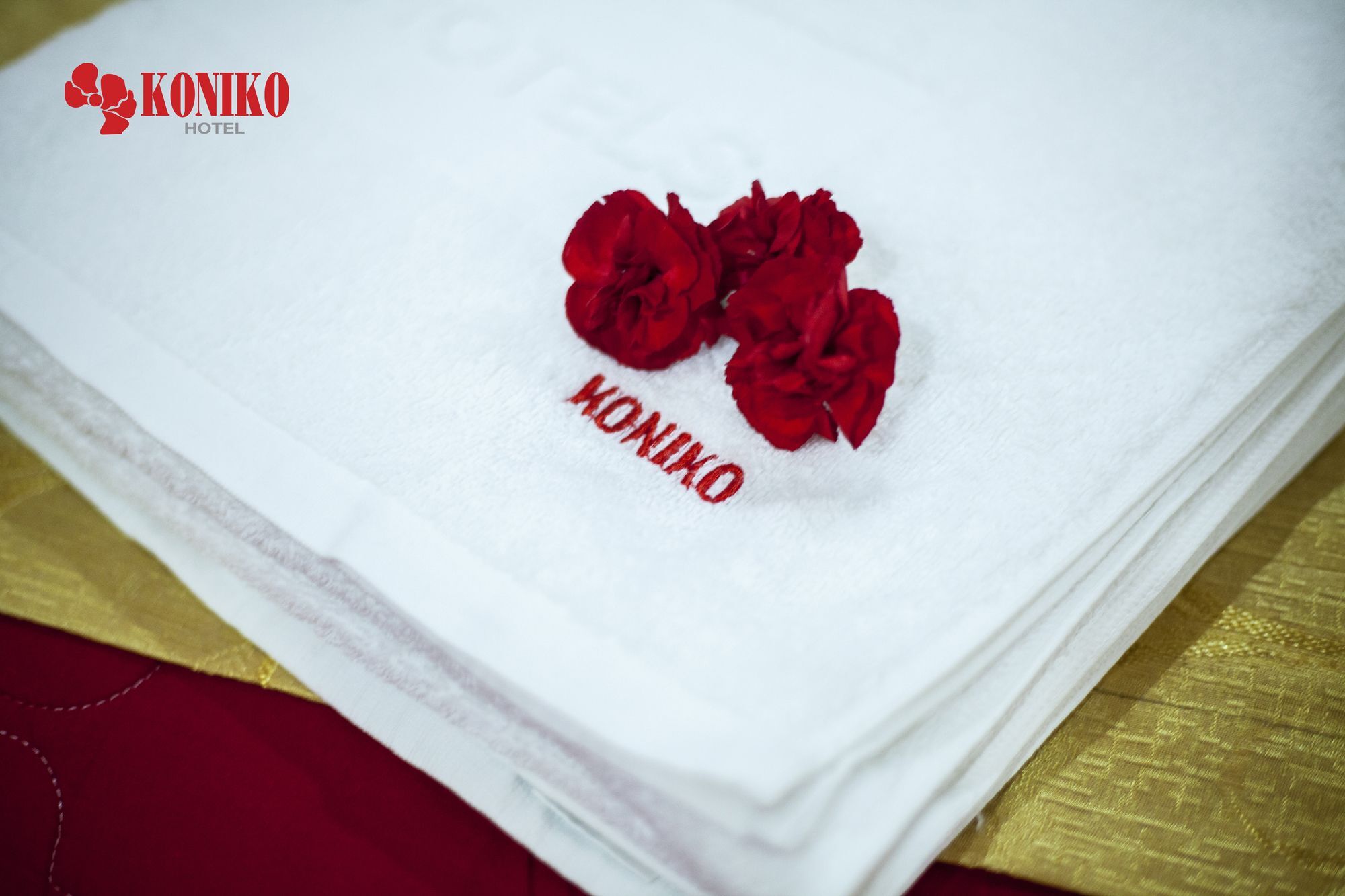 Koniko Hotel Хошимин Экстерьер фото